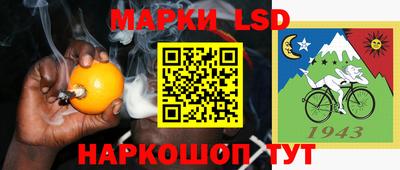 шишки Обь