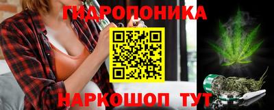 винт Партизанск