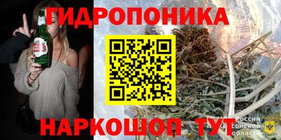 шишки Обь