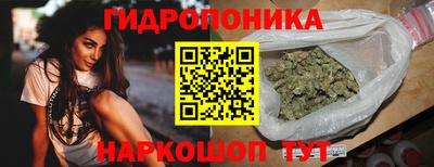 винт Партизанск