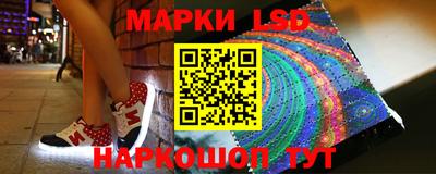шишки Обь