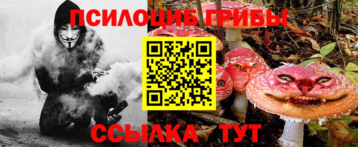 Галлюциногенные грибы Magic Shrooms  Вход с VPN  Пушкино  Псилоцибиновые грибы MAGIC MUSHROOMS 