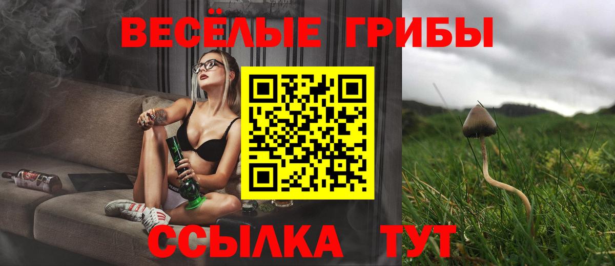 Галлюциногенные грибы MAGIC MUSHROOMS Пушкино